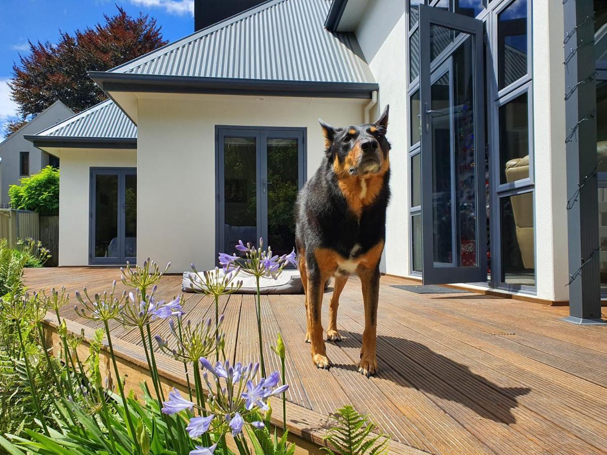 Christchurch Airport House Buitenkant foto